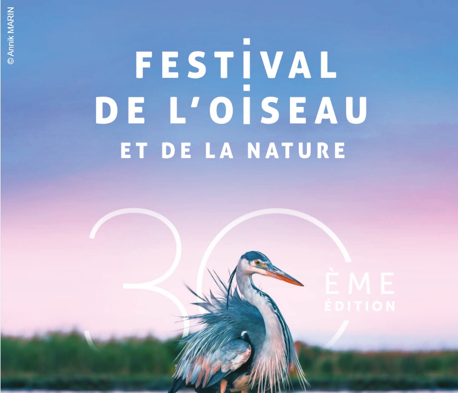 Festival De Loiseau Et De La Nature Calendrier Du Concours Photo