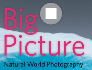 BigPicture Natural World