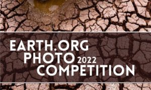 Concours Photo Earth.Org