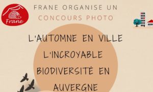 lautomne-en-ville-lincroyable-biodiversite-en-auvergne-2021