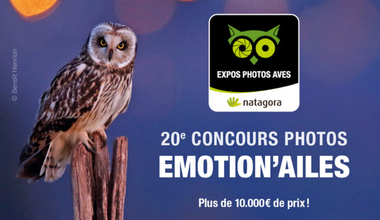 EMOTION’AILES