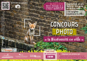 Concours Photo "la Biodiversité en ville"