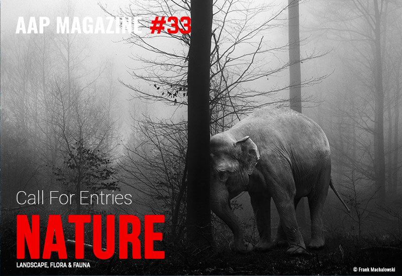 AAP Magazine: Nature