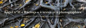 Concours Pourtant n°11 « Racines »