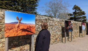 Exposition photographique en plein air Perros-Guirec